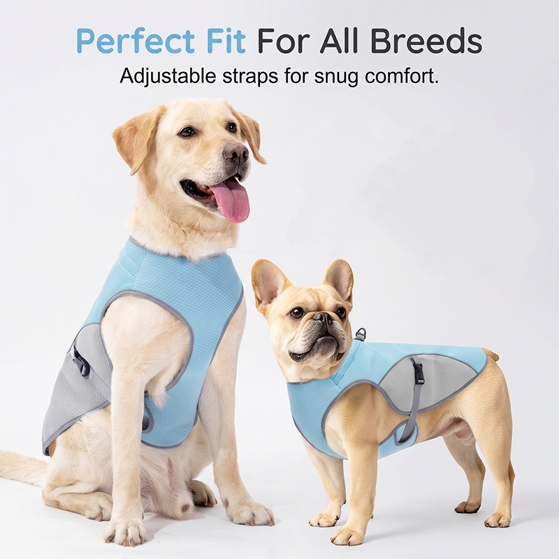 πΆ 48% OFF NOW! βοΈ Dog Cooling Vest Harness β Ice-silk fabric & adjustable β Keeps your pet cool in summer β perfect for walks, beach or travel πΎπβ¨