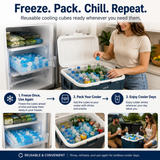 🧊Reusable Cooling Cubes for Drinks & Coolers