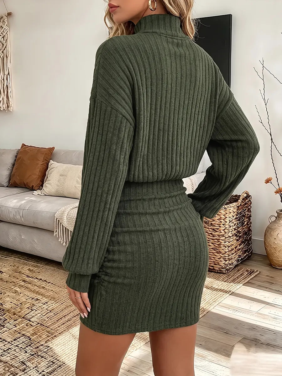 Vintage Elegant Knitted Fabric Turtleneck Dress