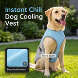🐶 48% OFF NOW! ☀️ Dog Cooling Vest Harness – Ice-silk fabric & adjustable – Keeps your pet cool in summer – perfect for walks, beach or travel 🐾🌊✨
