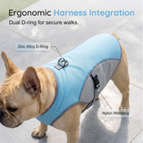 🐶 48% OFF NOW! ☀️ Dog Cooling Vest Harness – Ice-silk fabric & adjustable – Keeps your pet cool in summer – perfect for walks, beach or travel 🐾🌊✨